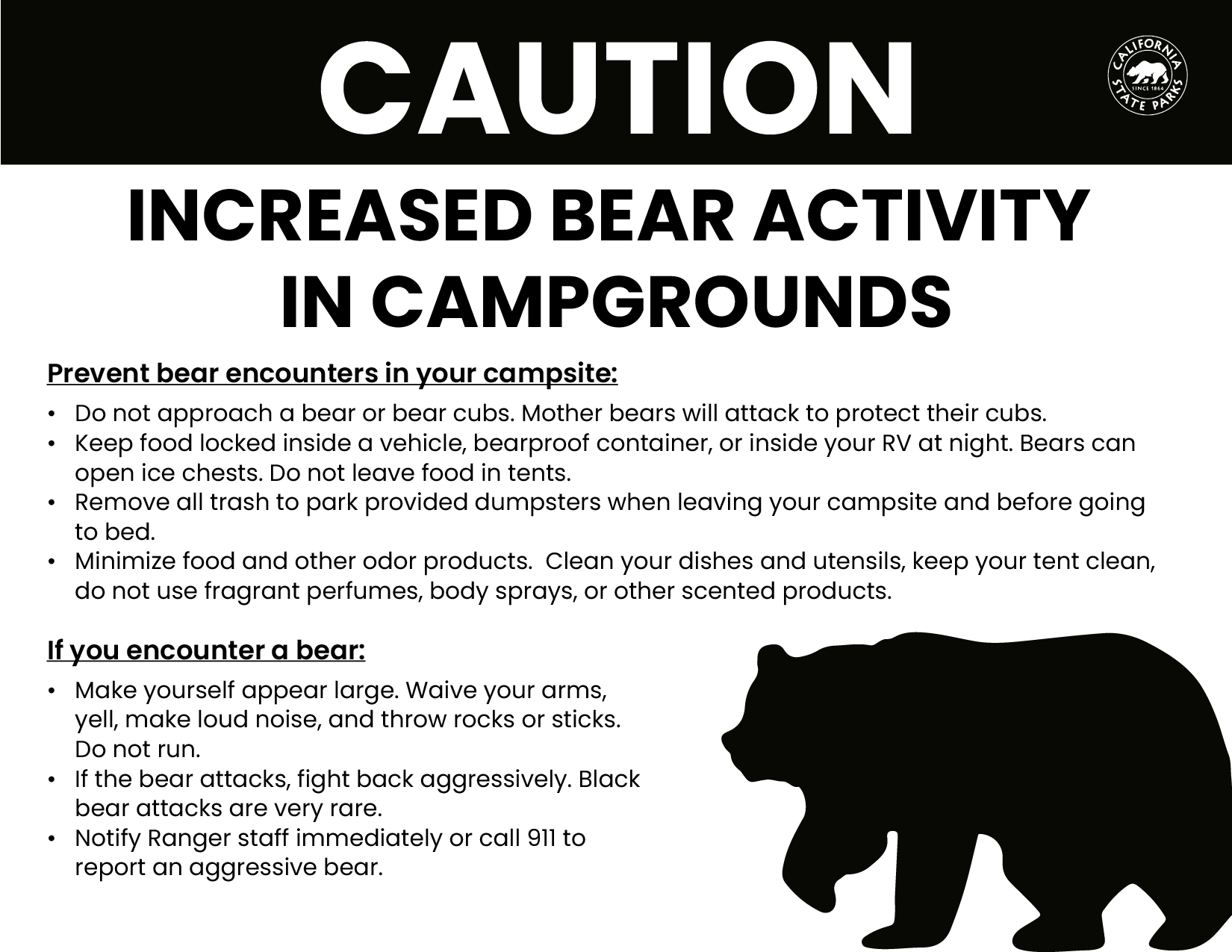 Bear Safety Flyer